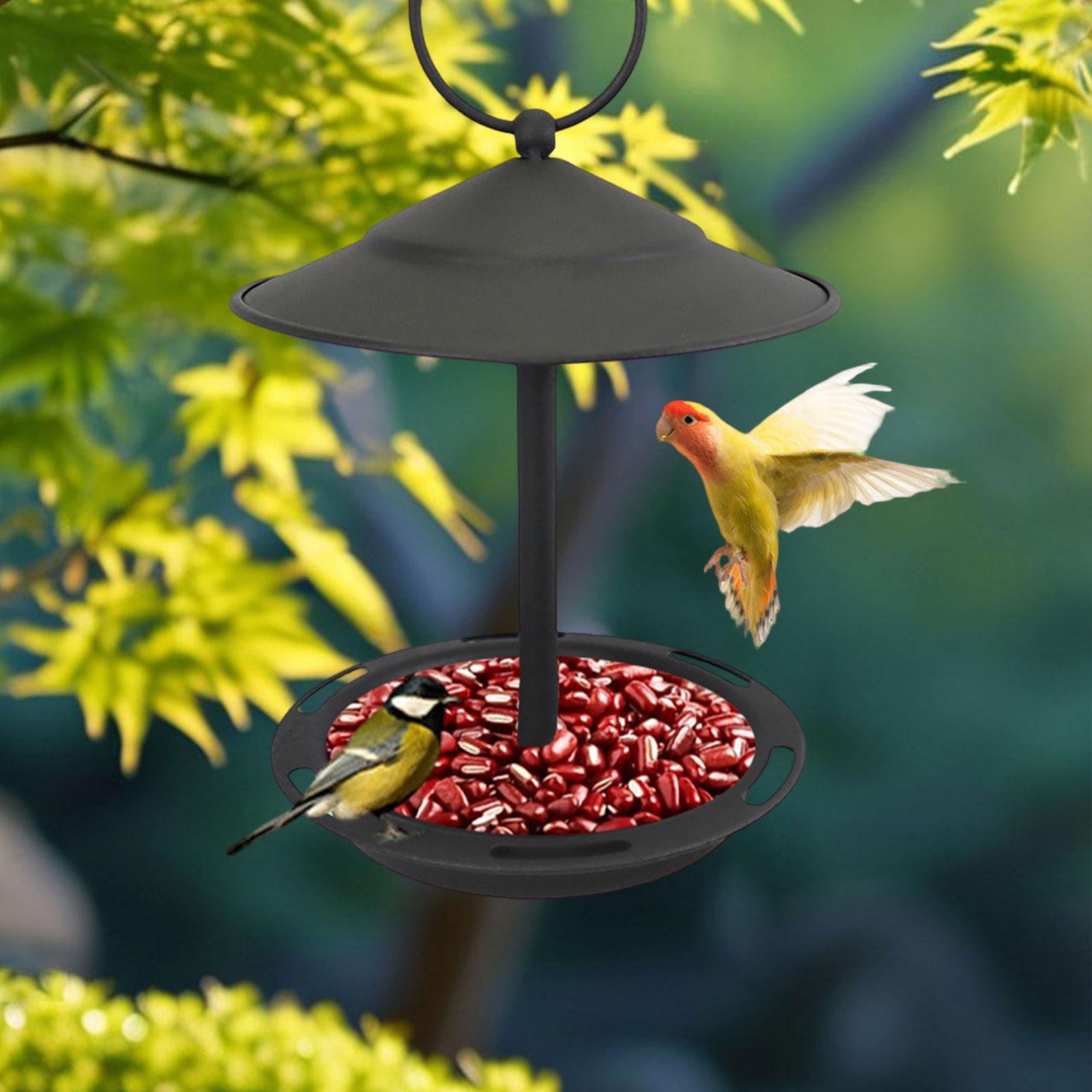 Bvdfgk Hanging Bird Bath Feeding Bowl Sturdy Platform Metal Bird Feeder Yard Parrot