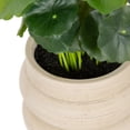 thumbnail image 3 of DesignOvation 7.5"H Artificial Money Plant in Tan Textured Cement Pot, 3 of 8