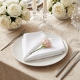 thumbnail image 3 of 12 Pack Cloth Napkins, Jacquard Washable and Reusable Table Dinner Napkins for Restaurant, Weddings, Event and Parties White 19x19inch, 3 of 6