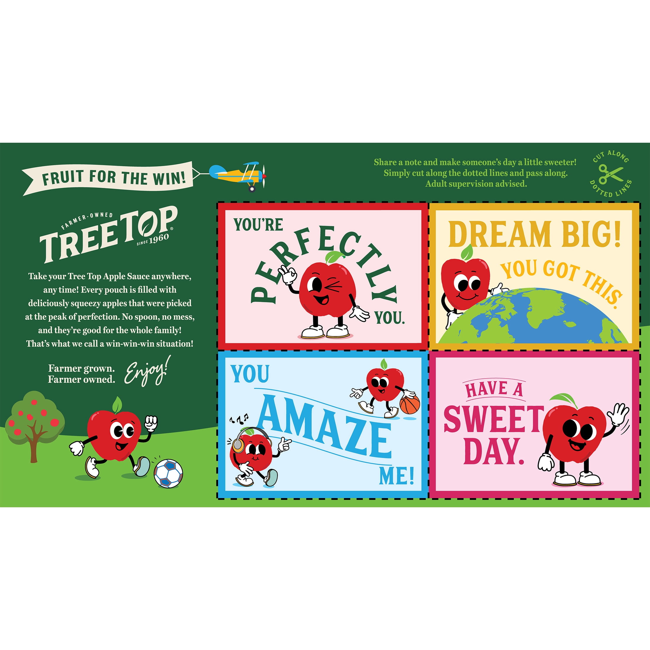 (4 pack) Tree Top Apple Sauce Pouches, No Sugar Added, 3.2 Oz, 12 Count