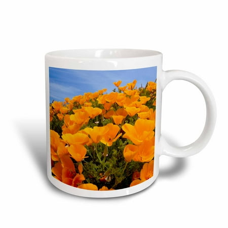 3dRose California poppies, San Simeon SP, California - US05 PCL0008 - Paul Colangelo, Ceramic Mug, 15-ounce