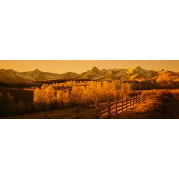 Trees In A Field Near A Wooden Fence Dallas Divide San Juan Mountains Colorado Usa Poster Print Walmart Com Walmart Com