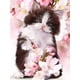 thumbnail image 3 of Evershine - Kit de bordado de diamantes con diseño de gato 5D, para manualidades, con diseño completo de animales, para punto de cruz, diseño de mosaico de diamantes de imitación, para decoración del, 3 of 5