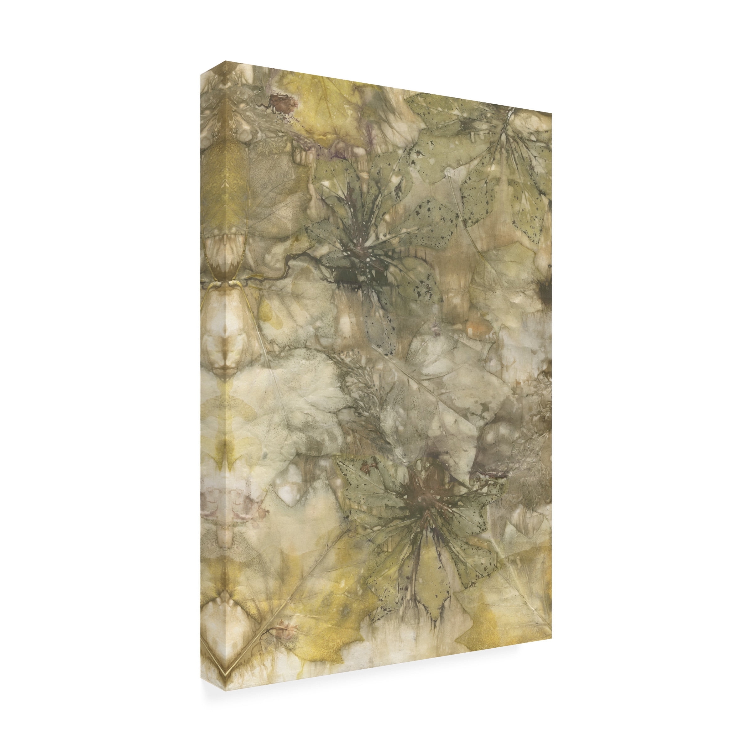 Kathryn Phillips 'Eco Print IV' Canvas Art