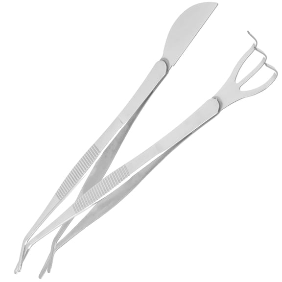 BESTYASH 1Set Stainless Steel Small Rake Tweezers for Bonsai Plants with Durable Rustproof Design