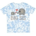 thumbnail image 3 of Inktastic Big Sis Elephant Girls Toddler T-Shirt, 3 of 5