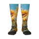 thumbnail image 1 of Fotbe Sunflower Field Art Calcetas Divertidas Estampadas para Hombre y Mujer, Calcetas de Algodón hasta la Rodilla para Caminar, Correr, Enfermería y Embarazo, 1 of 6