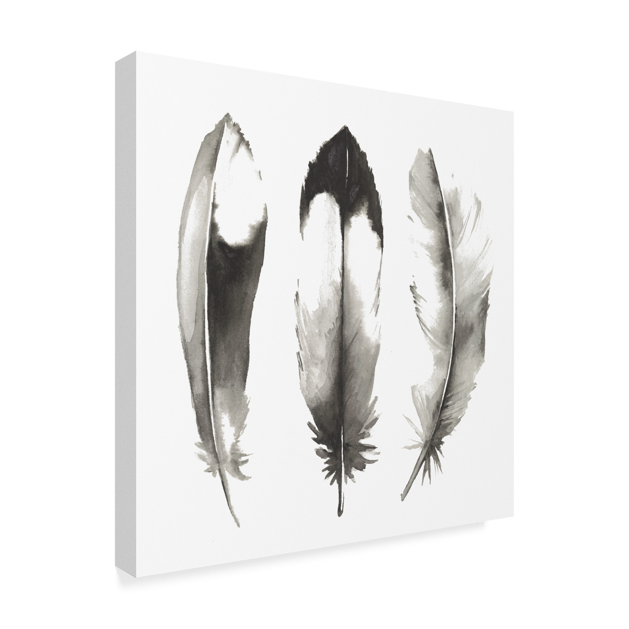 Trademark Fine Art 'Watercolor Feathers II' Canvas Art by Grace Popp