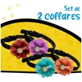 thumbnail image 2 of Collar Para Perro Pequeño Terciopelo Flor Set 2 Pzs Mascotas, 2 of 7