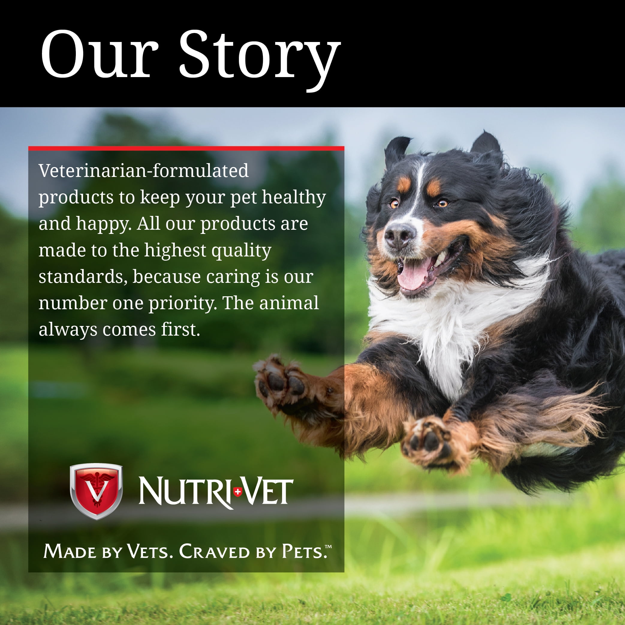 Nutrivet multivite top