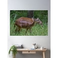 thumbnail image 2 of Deer Poster Wall Art, Modern Wall Decor For Living Room Bedroom, 16x24 UNFRAMED, 2 of 3