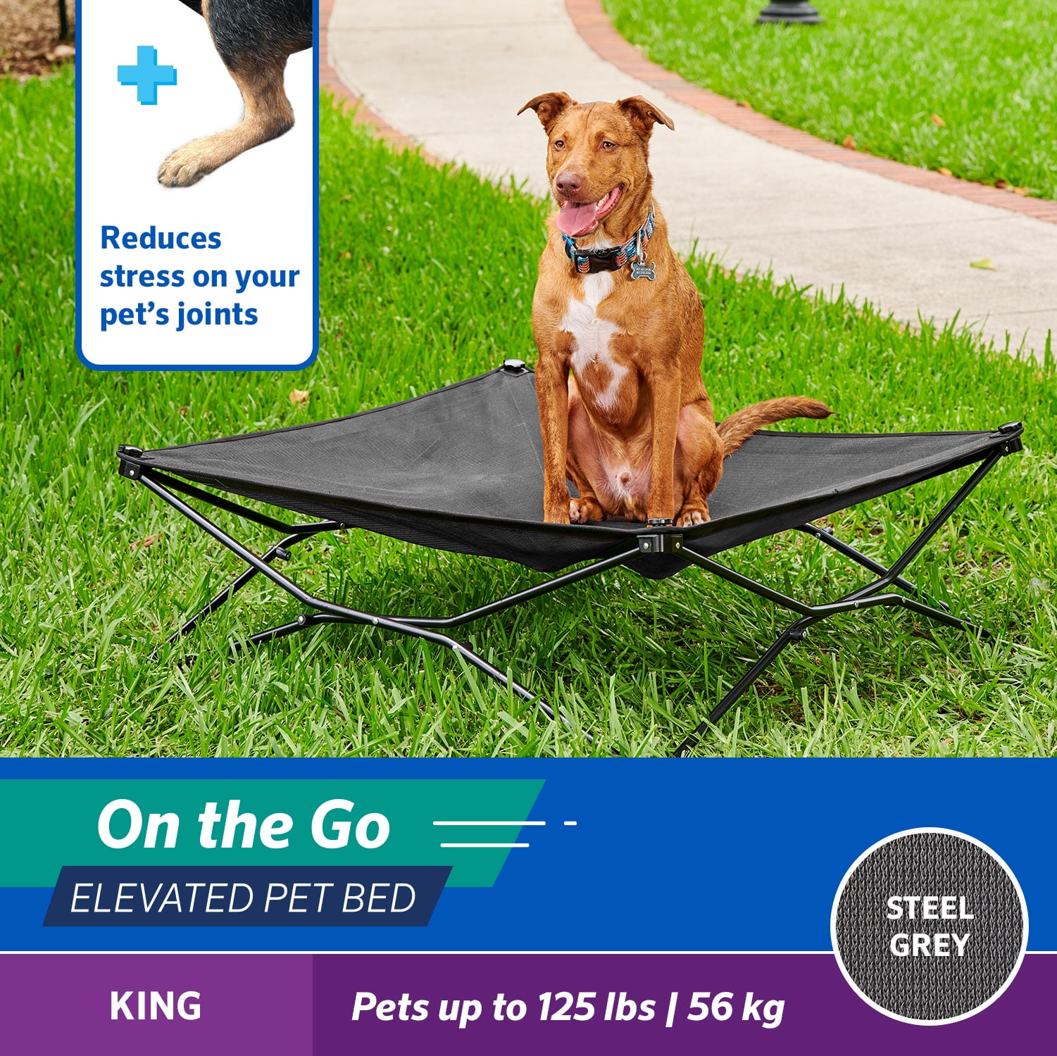 Coolaroo on the go elevated travel Dog bed, King, Steel Gray