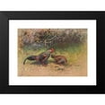 thumbnail image 2 of George Edward Lodge 24x18 Black Modern Framed Museum Art Print Titled - Grey Junglefowl (1918-1922), 2 of 5