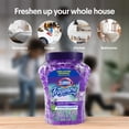 thumbnail image 3 of Clorox Fraganzia Air Freshener Crystal Beads Lavender with Eucalyptus, Twin Pack Two 12oz Jars | Long-Lasting Air Freshener Beads | Easy to Use Air Scent Beads for Homes, Bathrooms, Closets, or Car, 3 of 6