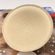 thumbnail image 4 of TABLZONE 4Pares Almohadillas De Espuma Para Deportivo Color Beige Reutilizables, 4 of 8