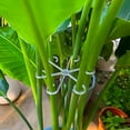 thumbnail image 3 of 4-piece Set of Plant Stem Support Clips, Horticultural Plant Turtle Back Bamboo Support Fixator, Hydroponic Tree Branch Fixation, 3 of 6