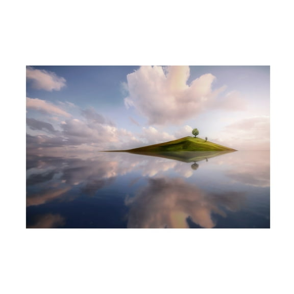 Trademark Fine Art Hary Muhammad Tinyland Canvas Wall Art