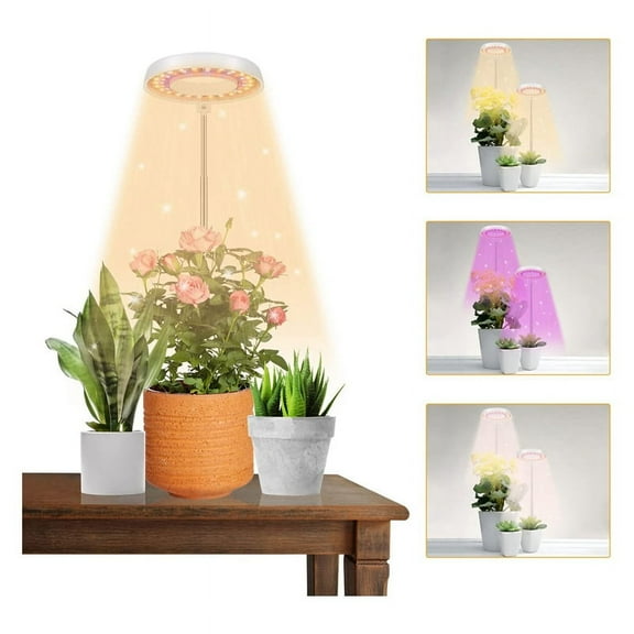 LED Grow Light, Plant Lamp for Indoor Plants Growing,Auto 4/8/12/18 , for Bonsai Succulents Small Plants