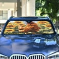 thumbnail image 4 of ALAZA Chicken Sunflower Windshield Sun Shade Car Foldable Sun Visor Block UV Rays Protector 55"x27.6", 4 of 8