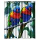 thumbnail image 1 of ABPHQTO Hermoso pájaro loro fondo cortina de ducha impermeable cortina de ducha 150x180 cm, 1 of 2