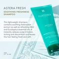 thumbnail image 3 of Rene Furterer ASTERA FRESH Soothing Freshness Shampoo - Relieve Sensitive Scalps - Mint & Eucalyptus - Paraben & Silicone-Free, 6.7 fl oz, 3 of 8