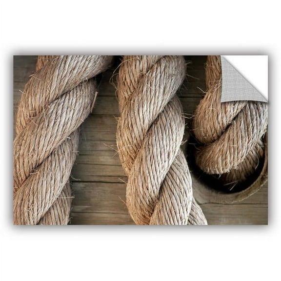 ArtAppealz Dan Holm "Rope in A Hole" Removable Wall Art