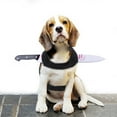 thumbnail image 4 of Pet Halloween Costume For Dogs Cats Outfit Cute Animal Dress Up Party Apparel With Comfortable Design, 4 of 4