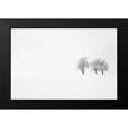 thumbnail image 2 of Bajrich, Amir 18x13 Black Modern Framed Museum Art Print Titled - Tree And Silence, 2 of 5