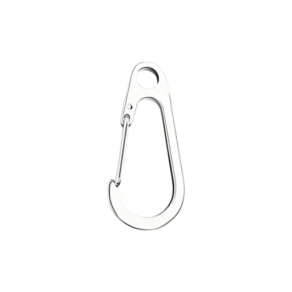 Stainless Steel Spring Clip Keychain - Silver Mini Utility Carabiner Set, Compact Size, Durable Design for Backpacks, Keys & Outdoor EDC Accessory