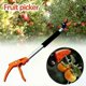 thumbnail image 3 of Extra Long Telescopic Pruning Fruit Picker Hold Bypass Pruner Max Cutting 1/2 inch Tree Cutter Garden Tools Fruit Catcher-M, 3 of 5