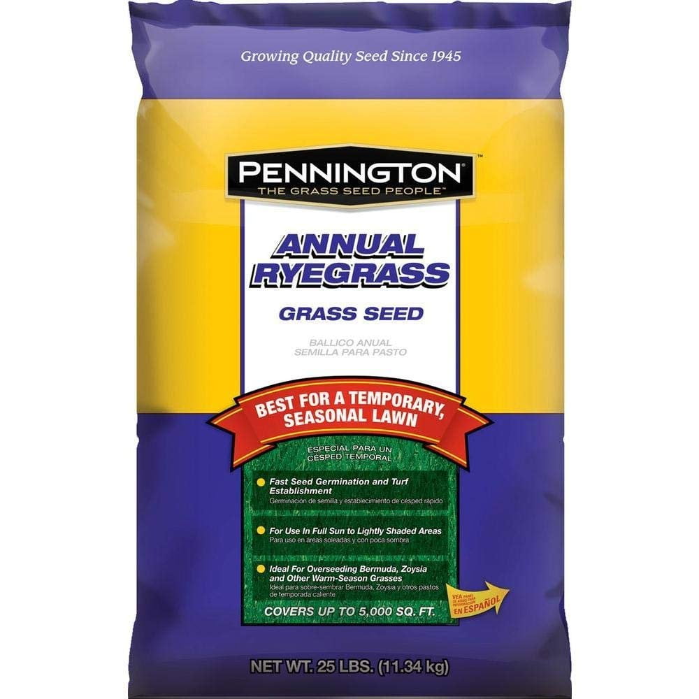 Pennington Annual Ryegrass Retail Bag to Overseed Warm Season Grasses, 25 lb