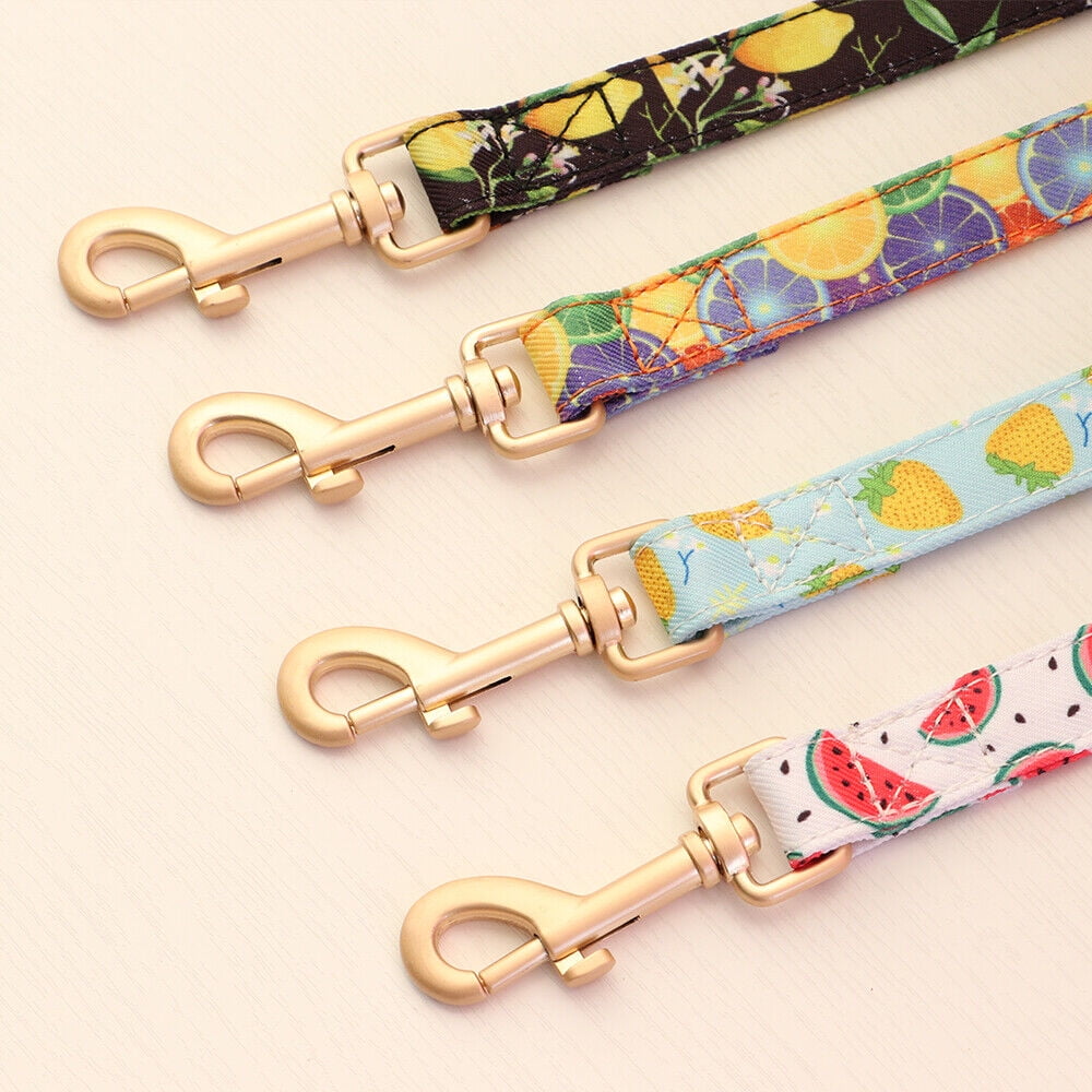 Pet Artist Cute Girl Dog Harness Dress and Leash set Fancy Summer Small Pet Cat Vest Clothes