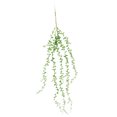 thumbnail image 1 of Ounissouiy 82 cm suculentas artificiales perlas carnosas flores de vid verde colgando pared de ratán simulación flor amante lágrimas plantas guirnalda Plantas Artificiales Ounissouiy  HA6998-00B, 1 of 1