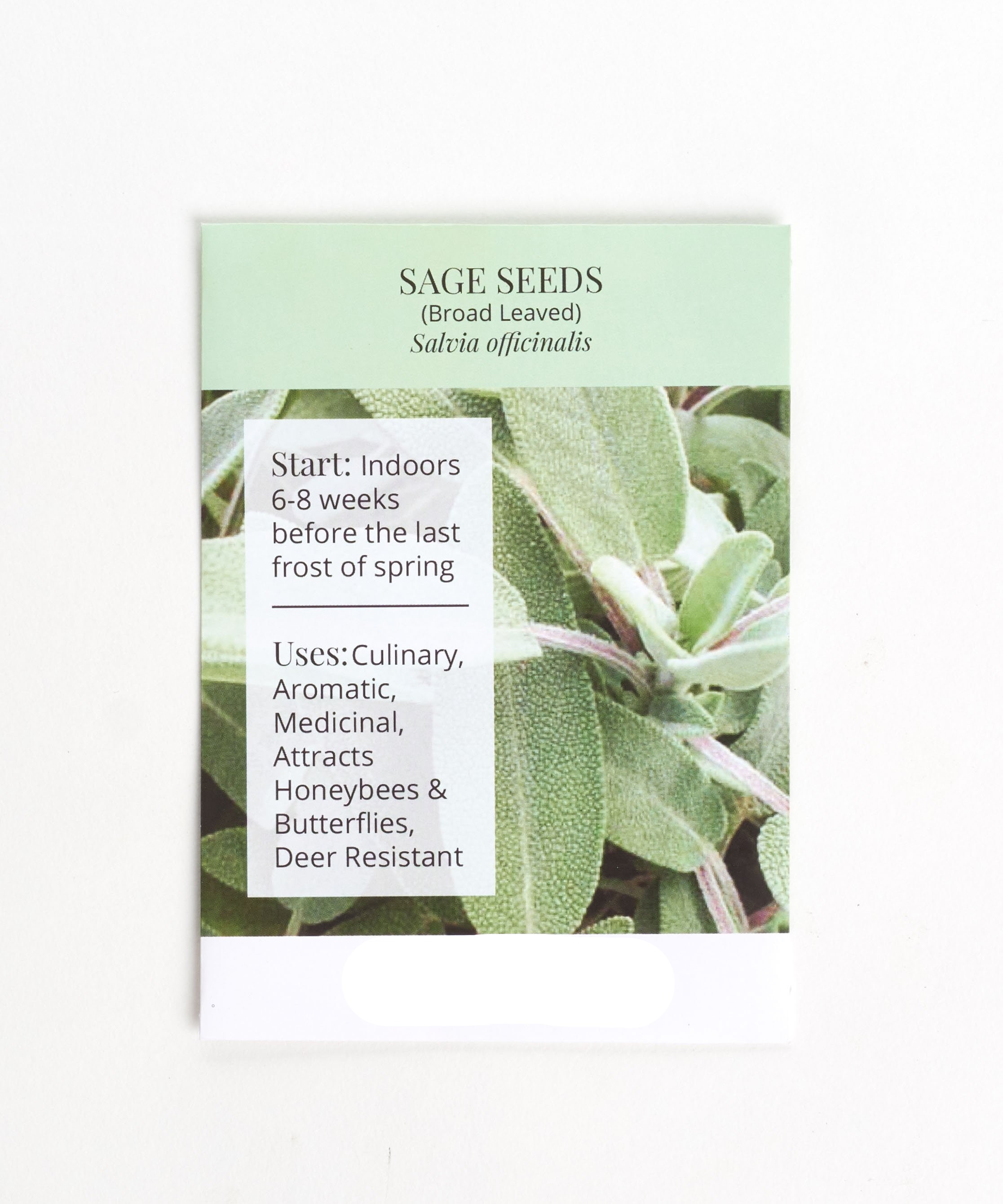 Sage Seeds
