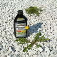 thumbnail image 4 of Spectracide Vegetation Killer Concentrate, 32-fl oz, 4 of 4