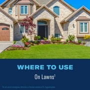 BioAdvanced Lawn Weed Killer, Concentrate, 32 oz, 16,000 Sq Ft (2-Pack)