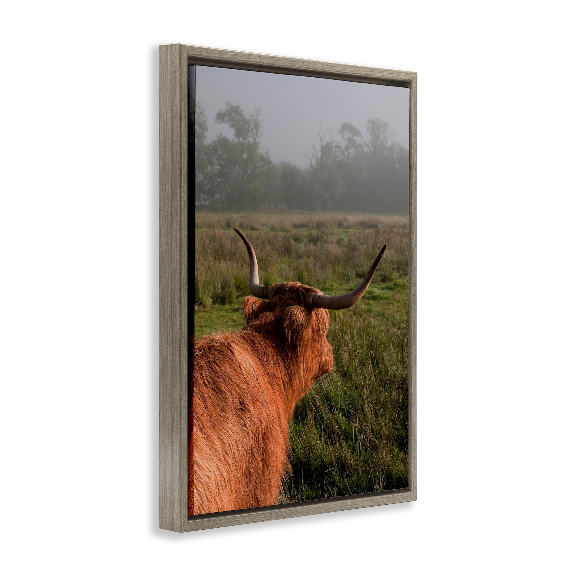 Highland Cow Gazing Out Brown Framed Floater Canvas Wall Art, design by Jenny Rainbow Fine Art