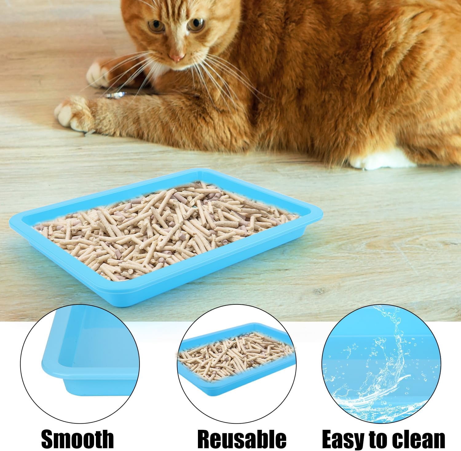 5pcs Shallow Cat Litter Boxes - Plastic Cat Litter Trays & Pans for Indoor Kittens (5 Colors)
