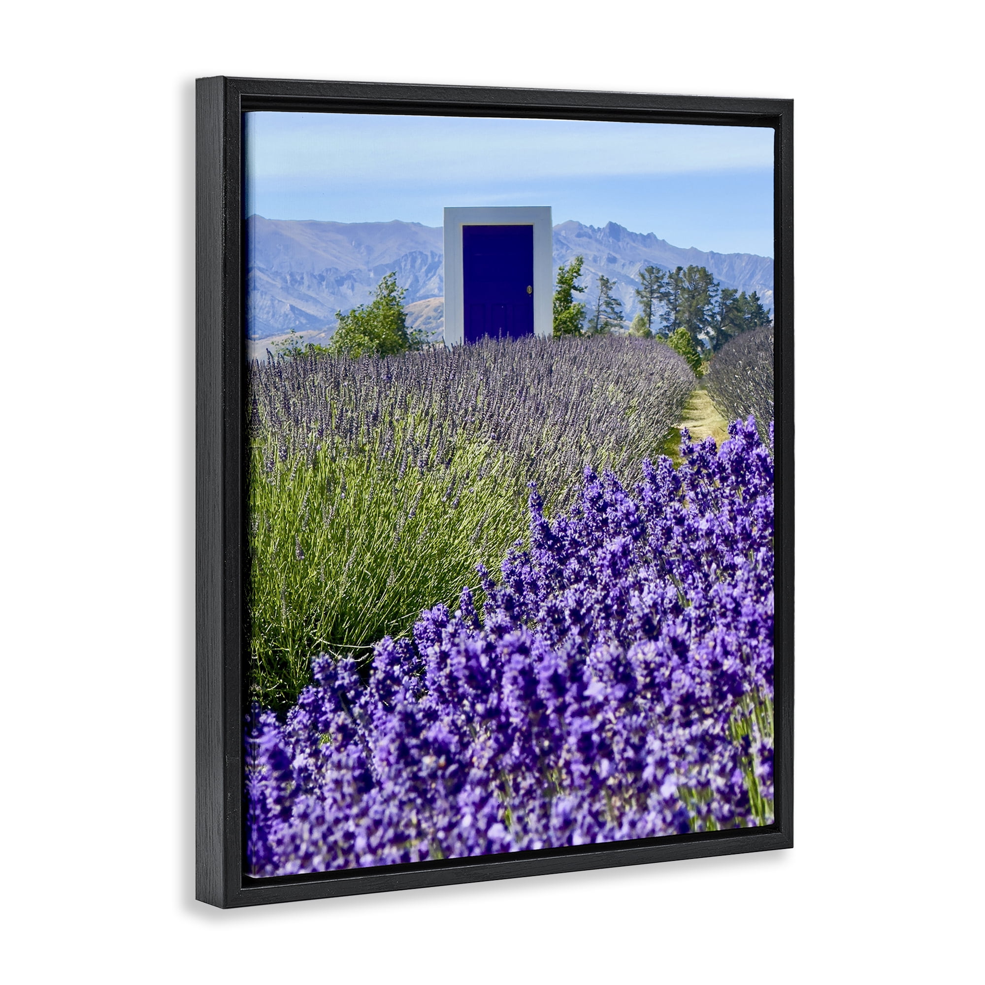 Stupell Industries Surreal Doorway Landscape Landscape Photography Black Floater Framed Art Print Wall Art, 25 x 31