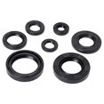 thumbnail image 3 of Tusk Engine Oil Seal Kit, 3 of 6