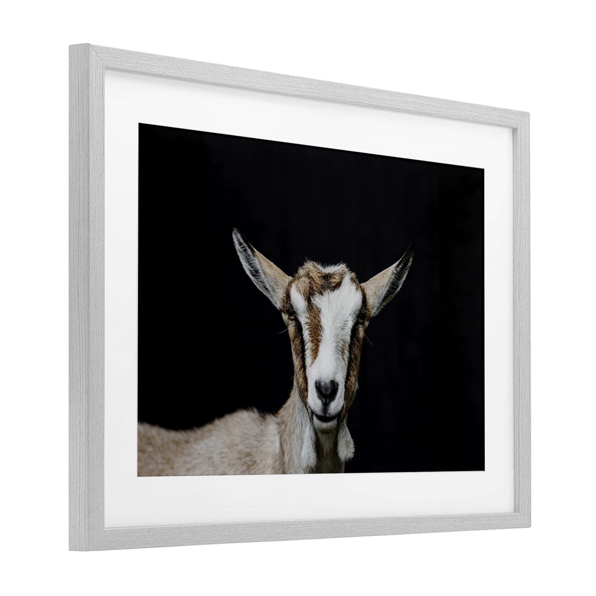 Goat Face over Black Gray Framed Print Under Glass, design by Amy Carroll