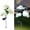 White, variant on Solar Garden Lights Outdoor, Solar Hydrangea Lights IP65 Waterproof LED Flowers Stake Lights 1 Pack for Garden Pathway Patio Backyard Landscape Decorative (Multicolor)