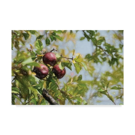 Trademark Fine Art 'Apple Picking Time' Canvas Art by Lois