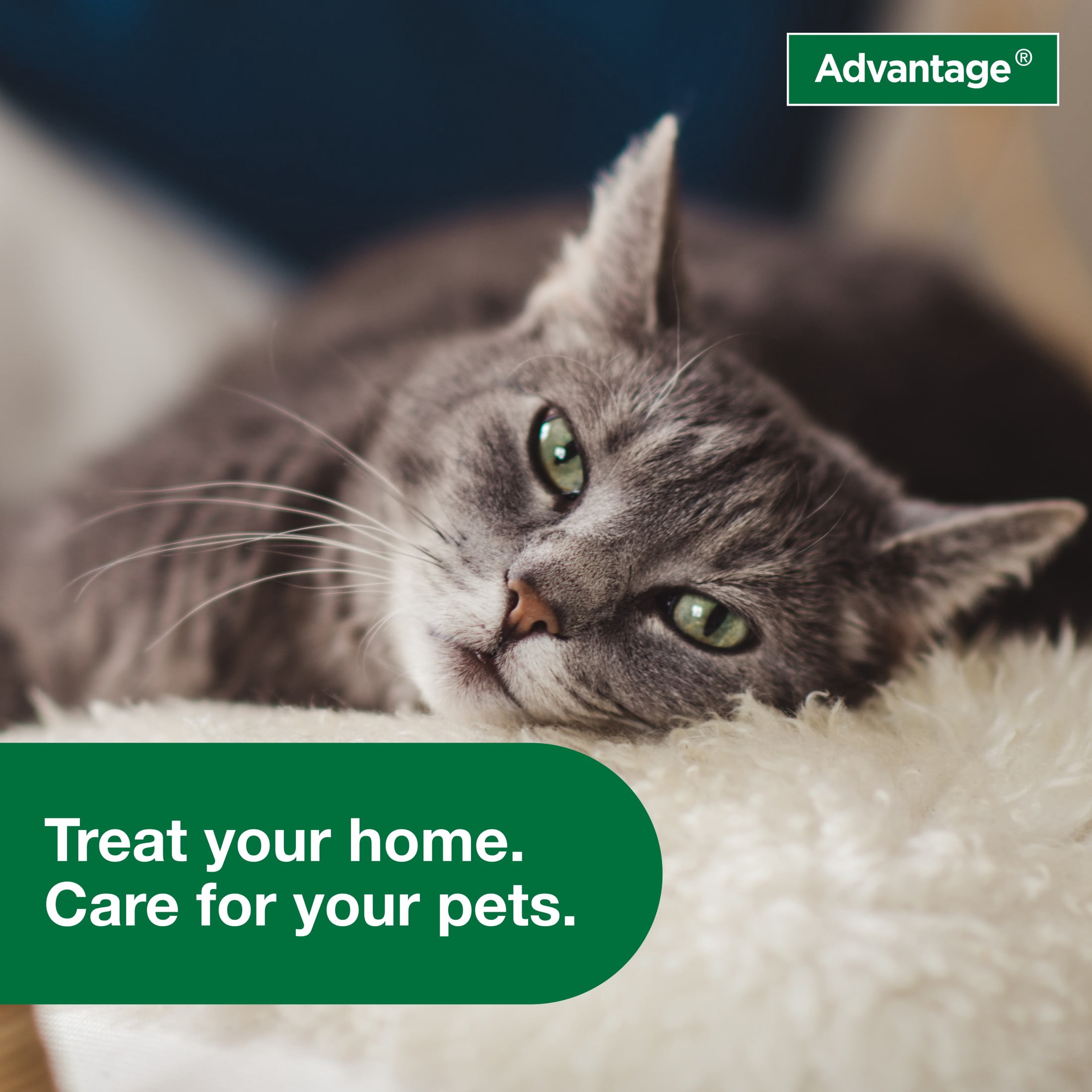 Advantage Carpet & Upholstery Spot Spray, Kills Fleas & Ticks & Bedbugs, 24 oz.