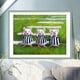 thumbnail image 3 of Cuadros Decorativos 5D DIY diamante redondo animal ratón rhinestone imagen E693 Tmvgtek embutido en tela, 3 of 9