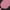 Mauve Pearl/Black Soot, variant on Avia Women's Seamless Racerback Sports Bra