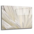 thumbnail image 2 of Epic Art 'White Flower' by Photoinc Studio, Acrylic Glass Wall Art, 36"x24", 2 of 9