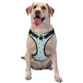 thumbnail image 1 of Fotbe Sea Turtle Arnés para Perro con Estampado –Chaleco Ajustable Acolchado con Asa de Control para Perros Grandes-X-Large, 1 of 6