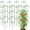 8-Pack, variant on 63-Inch Heavy Duty Tomato Cages, 4-Pack Extra Tall Metal Tomato Trellis, Steel Tube Plant Cage for Indeterminate Tomatoes, Cucumbers, Pole Beans – Rust-Proof Coated
