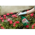 thumbnail image 3 of ONLINE Ortho Rose & Flower Insect Killer - Ready-To-Use Insecticide, 24 oz, 3 of 6